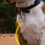 poly-ropes-simlina-alt1