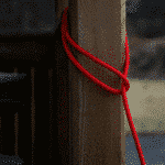 Cat leash Teddy variant image PolyRopes