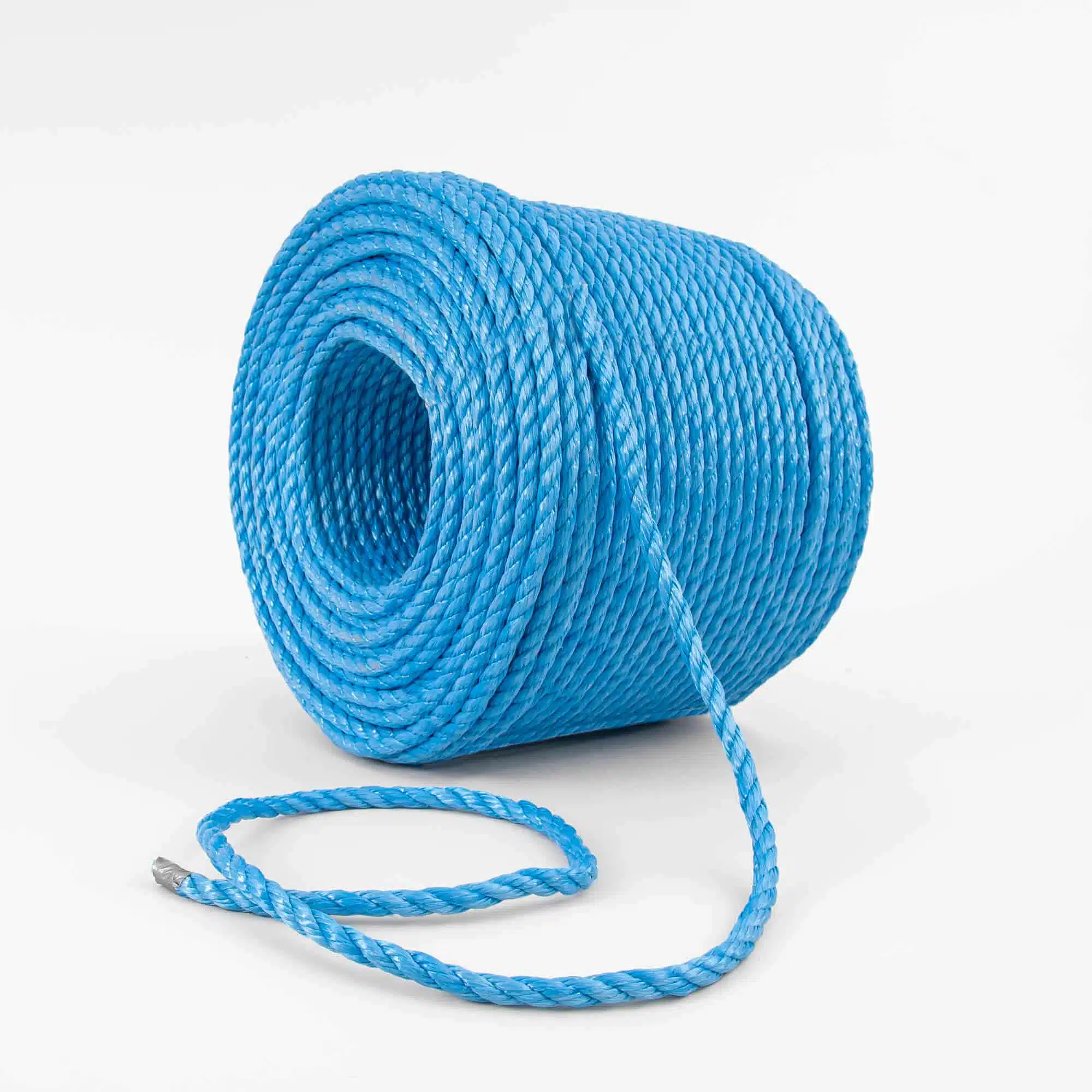 PP-lina-bla1 PP-lina-bla1