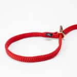 poly-ropes-retrieverkoppel-lajka-röd-alt1