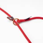 Retrieverkoppel, 2 m, rund, Pompe - Bild 2