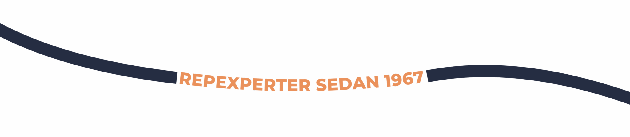 repexperter sedan 1967